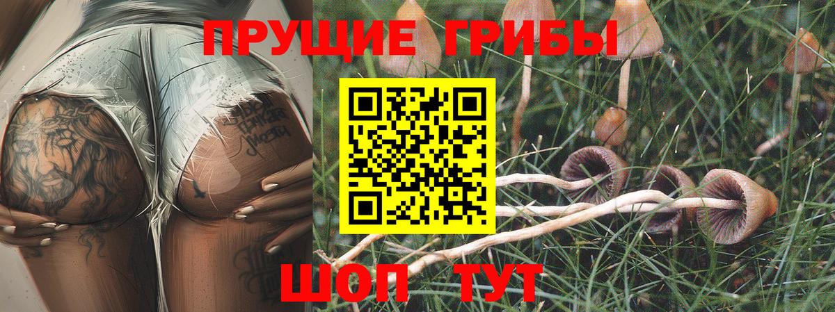 магазин продажи наркотиков  Галлюциногенные грибы Magic Shrooms  Вход с VPN  Волгоград 