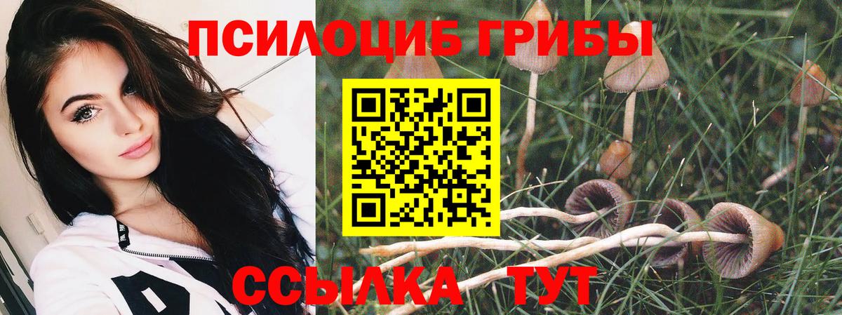 Псилоцибиновые грибы Psilocybine cubensis Волгоград
